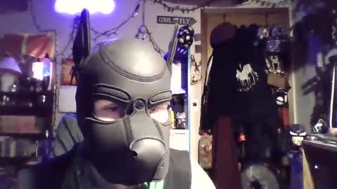 Snapshot of zanepup89 chatting on 07-06-26, 05:26 ZanePup online show from 07-06-26, 05:26