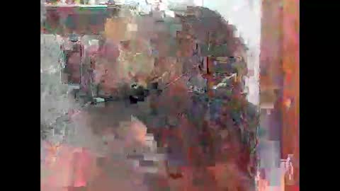 Zatth online show from 02-14-26, 07:49