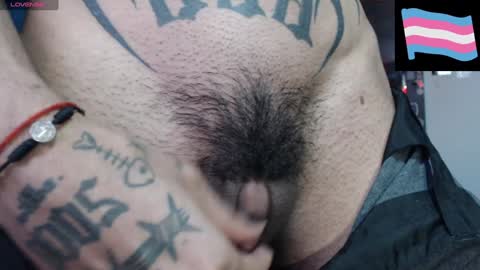 Zeldris online show from 02-08-25, 10:51