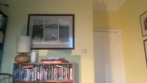 zephr1 online show from 12-10-24, 02:39