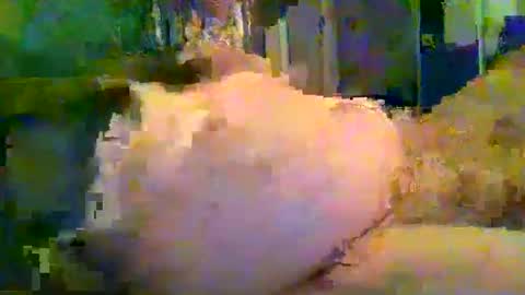 Snapshot of zero0zero123 chatting on 09-27-25, 09:53 zero0zero123 online show from 09-27-25, 09:53