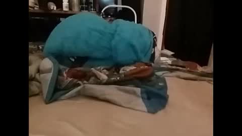 Snapshot of zeroandhero chatting on 12-14-24, 03:36 zero online show from 12-14-24, 03:36