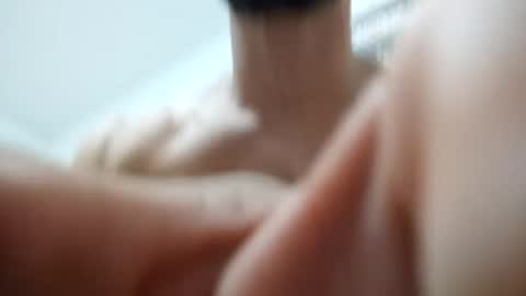 Snapshot of zigfrid666 chatting on 06-17-26, 01:45 zigfrid666 online show from 06-17-26, 01:45
