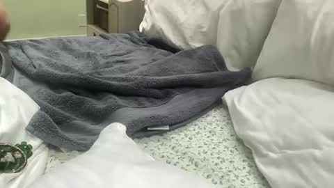 zinneaviolette online show from 01-14-26, 08:25