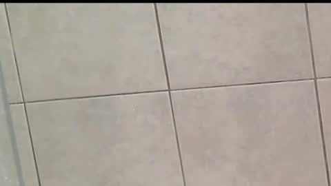 Zoey Portland online show from 10-28-25, 09:24