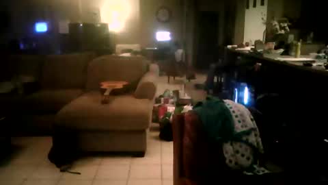 zooroxxx101 online show from 04-22-26, 08:06