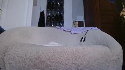 zymase online show from 01-04-25, 11:27