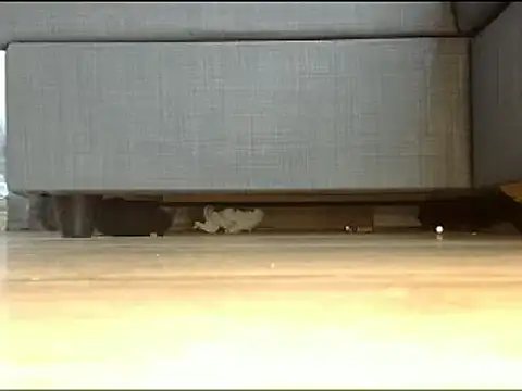 Snapshot of Squirtlady38 chatting on 02-13-25, 01:26 Squirtlady38 online show from 02-13-25, 01:26