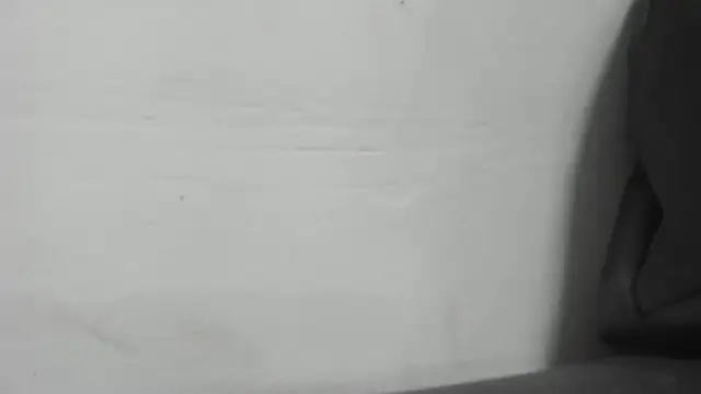 roxana collins online show from 01-16-25, 02:30