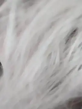 Linda Gregory online show from 12-09-24, 07:39