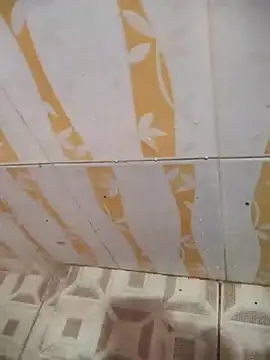 Snapshot of Sanjaymartin29 chatting on 02-06-25, 03:37 Sanjaymartin29 online show from 02-06-25, 03:37