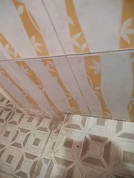 Snapshot of Sanjaymartin29 chatting on 03-21-25, 02:50 Sanjaymartin29 online show from 03-21-25, 02:50