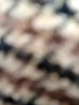 Misscata1106 online show from 10-29-25, 07:15