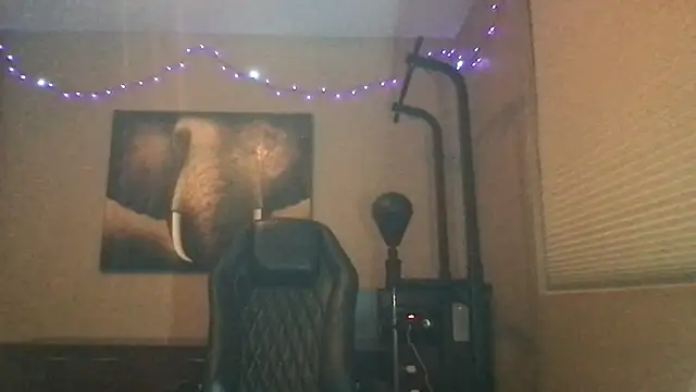Snapshot of Bwcjoshbanks chatting on 05-18-26, 05:13 Bwcjoshbanks online show from 05-18-26, 05:13