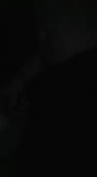 Bi curious86 online show from 11-13-25, 04:44