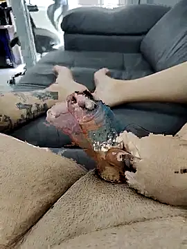 pete 97 online show from 09-21-25, 03:02