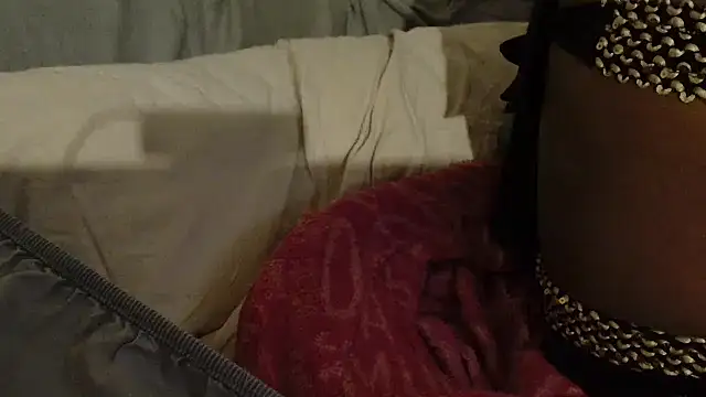 Snapshot of ROXYNL chatting on 02-08-25, 01:11 ROXYNL online show from 02-08-25, 01:11