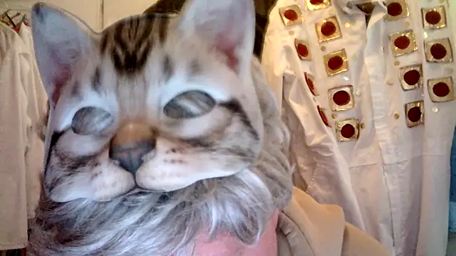 Sigorius online show from 03-06-26, 03:41