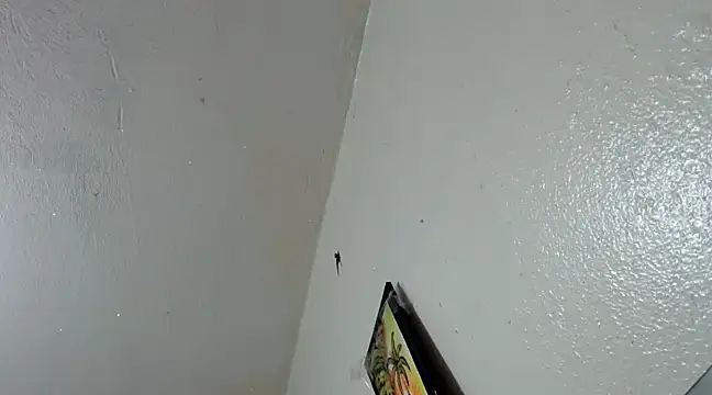 katery wok11 online show from 03-21-25, 07:33