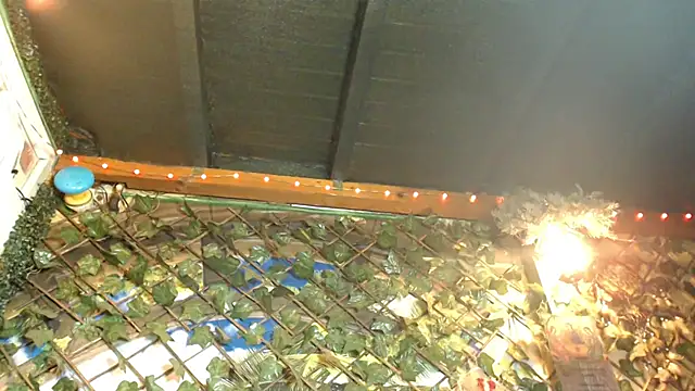 Snapshot of Bigboobs6930 chatting on 01-24-25, 05:31 Bigboobs6930 online show from 01-24-25, 05:31