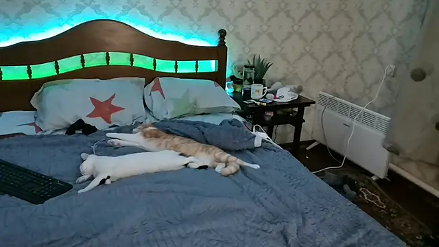 Snapshot of FelvivalKitty chatting on 01-08-25, 09:23 FelvivalKitty online show from 01-08-25, 09:23