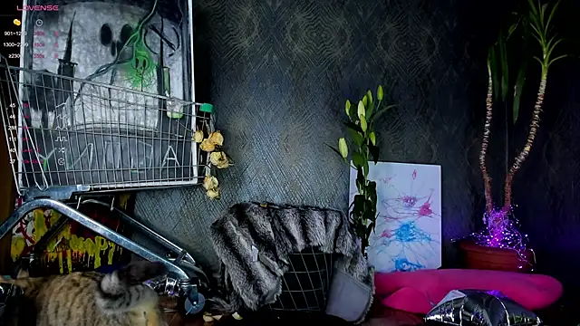 Snapshot of little_grinch666 chatting on 01-30-25, 07:59 little grinch666 online show from 01-30-25, 07:59