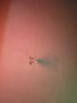 Ricorryxh online show from 09-09-25, 05:07