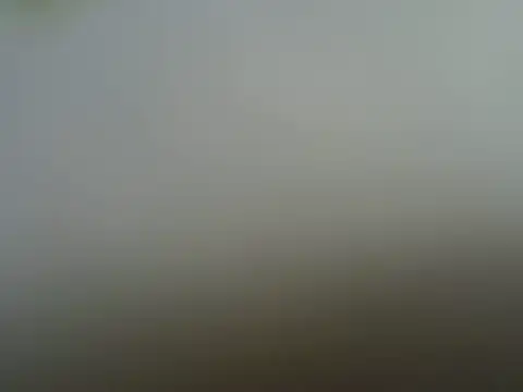 Sonnia  online show from 03-30-26, 11:17