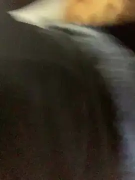 slimcateee online show from 03-02-25, 05:36