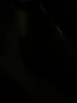 Snapshot of RoodoggXL chatting on 03-22-25, 03:20 RoodoggXL online show from 03-22-25, 03:20