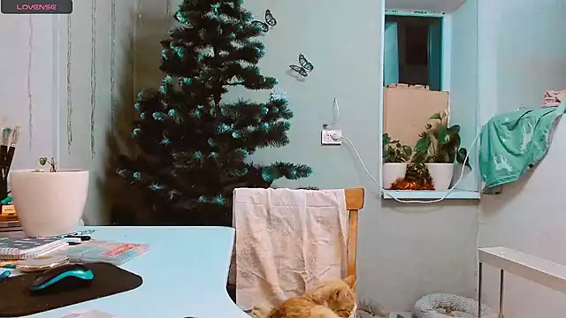 RosaJil online show from 12-17-24, 03:06