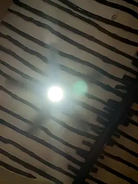 Snapshot of petiteebony_81 chatting on 11-26-25, 06:31 petiteebony 81 online show from 11-26-25, 06:31