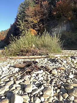 Snapshot of artXhibitor chatting on 10-18-25, 02:29 artXhibitor online show from 10-18-25, 02:29