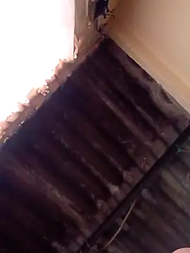 Snapshot of dantero chatting on 01-13-25, 04:51 dantero online show from 01-13-25, 04:51