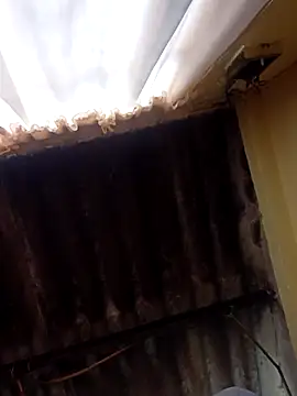 Snapshot of dantero chatting on 02-27-25, 03:48 dantero online show from 02-27-25, 03:48