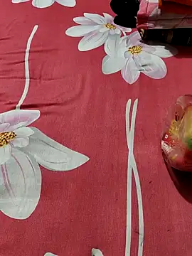 Dil-Ka-Radhika online show from 10-24-25, 02:19