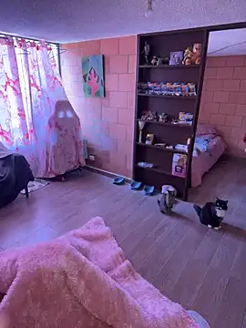 Sachi Meow online show from 02-25-26, 06:06