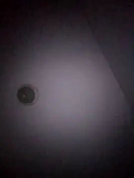 Snapshot of Treemandude chatting on 01-15-26, 11:04 Treemandude online show from 01-15-26, 11:04