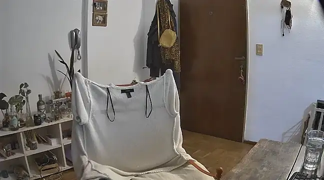 stupid babybird online show from 12-21-24, 04:52