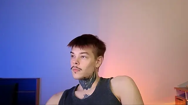 DENIS HERE online show from 11-26-25, 05:47