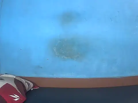 Snapshot of kannamu99 chatting on 11-17-25, 04:29 kannamu99 online show from 11-17-25, 04:29