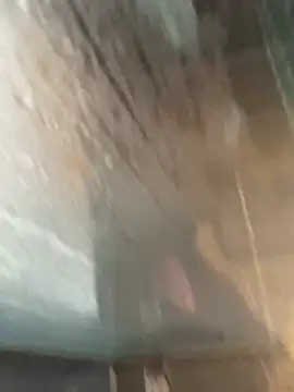 Snapshot of LivingLegend1978 chatting on 02-15-26, 08:46 LivingLegend1978 online show from 02-15-26, 08:46