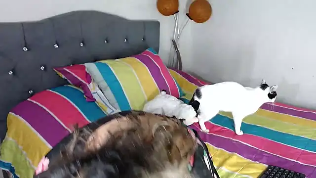 Chantal hott online show from 10-18-25, 11:16