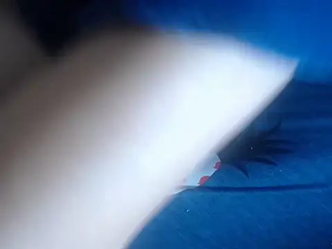 69loveme09 online show from 02-04-25, 09:07