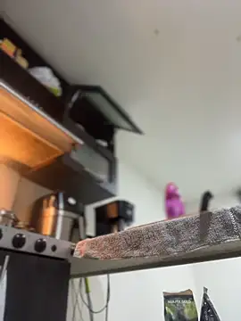 JulianaCastillo online show from 04-02-26, 09:18