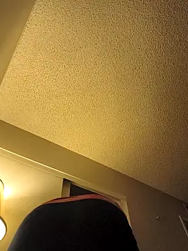 Snapshot of renegade_vyxxen chatting on 11-28-25, 03:53 renegade vyxxen online show from 11-28-25, 03:53