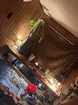 Snapshot of SexToyOnely chatting on 02-06-26, 08:56 SexToyOnely online show from 02-06-26, 08:56