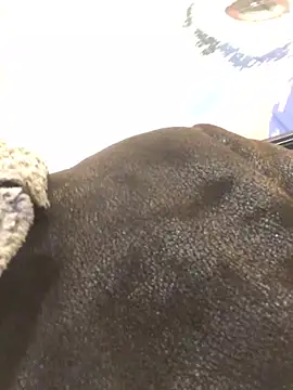 ChantalXOrchid online show from 01-23-25, 06:56