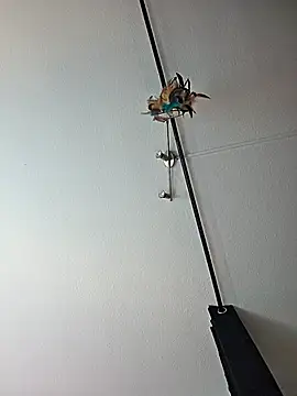 Snapshot of dieGeile0411 chatting on 10-24-25, 09:49 dieGeile0411 online show from 10-24-25, 09:49