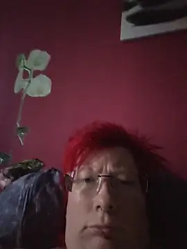 Snapshot of dieGeile0411 chatting on 07-17-26, 06:24 dieGeile0411 online show from 07-17-26, 06:24